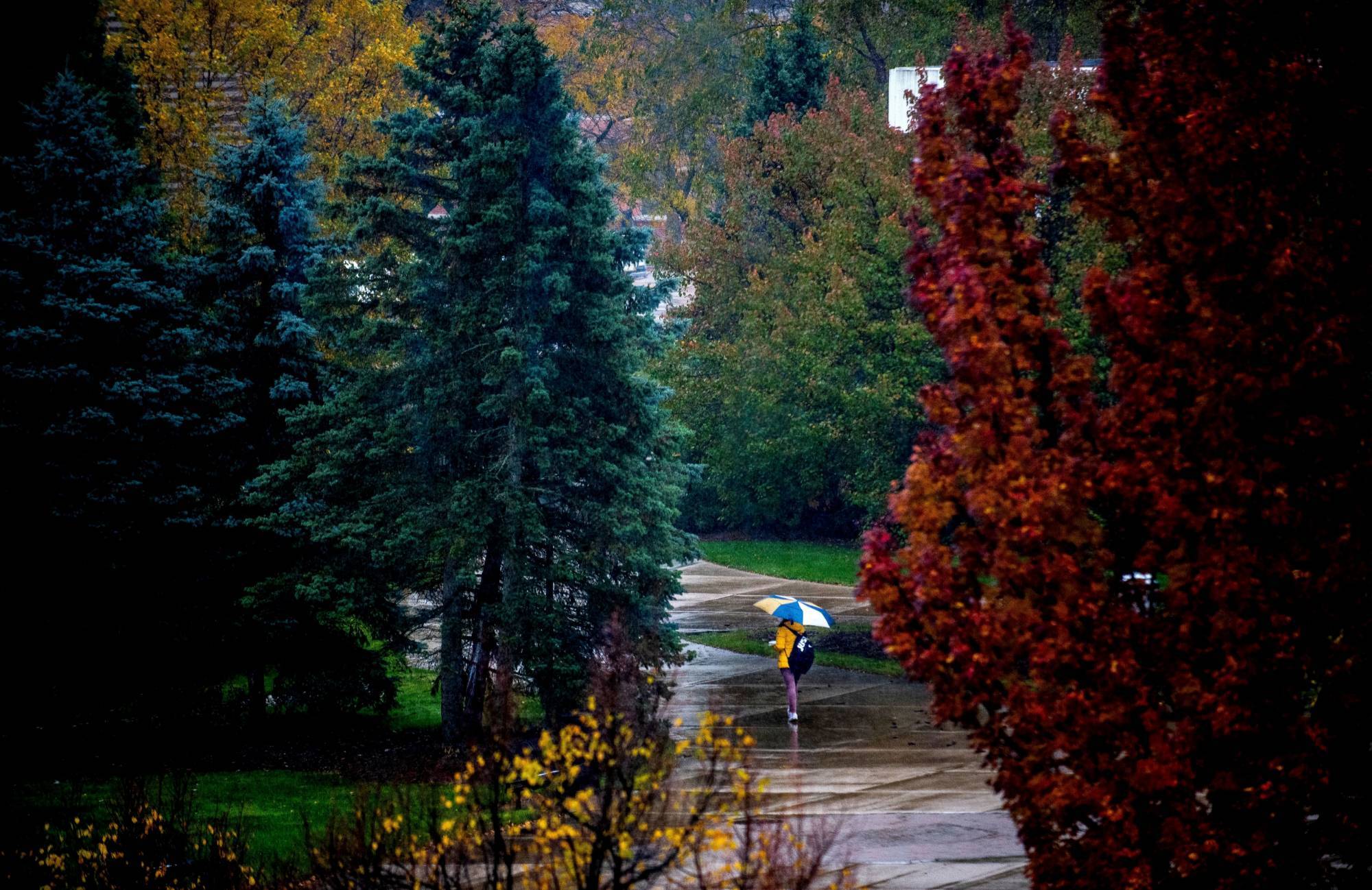 Campus